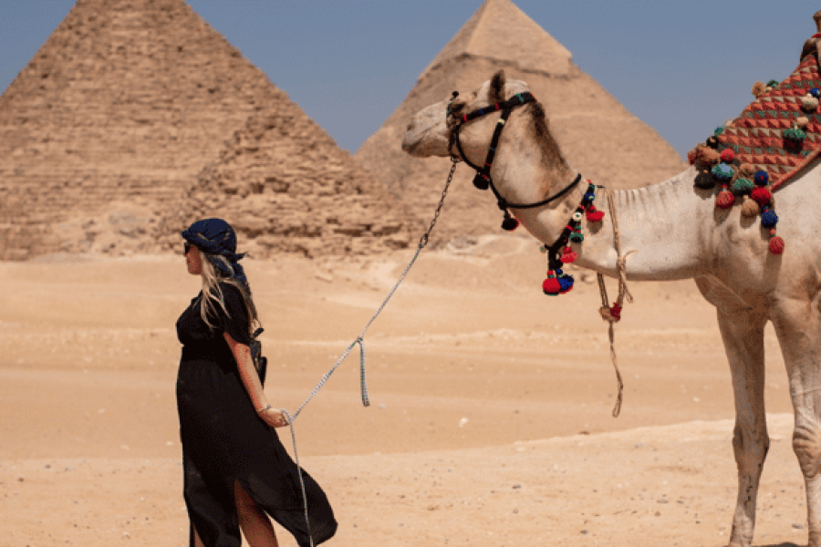 Cairo VIP Minibus Tour