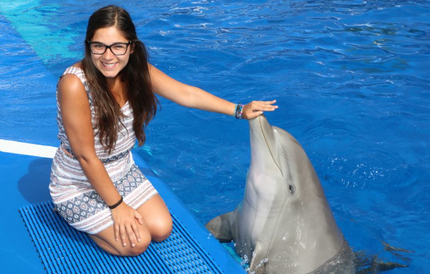 Photo with Dolphin