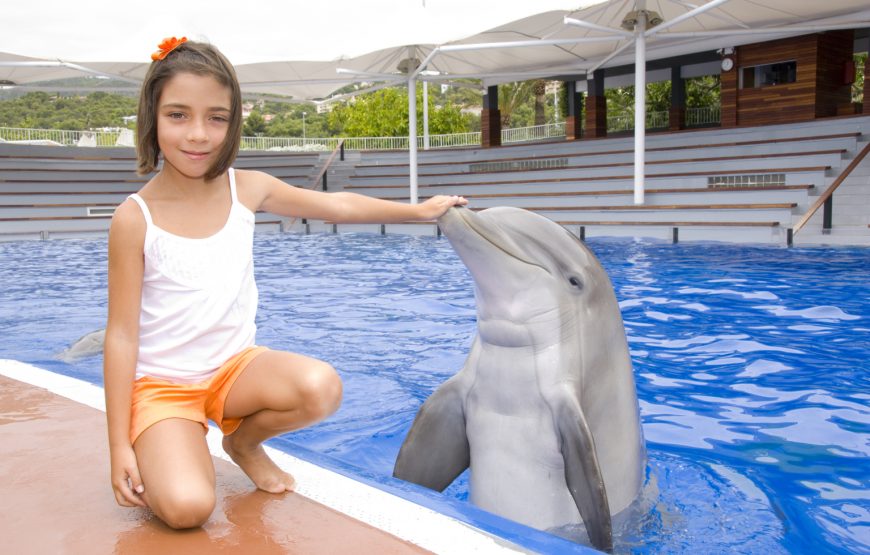 Photo with Dolphin