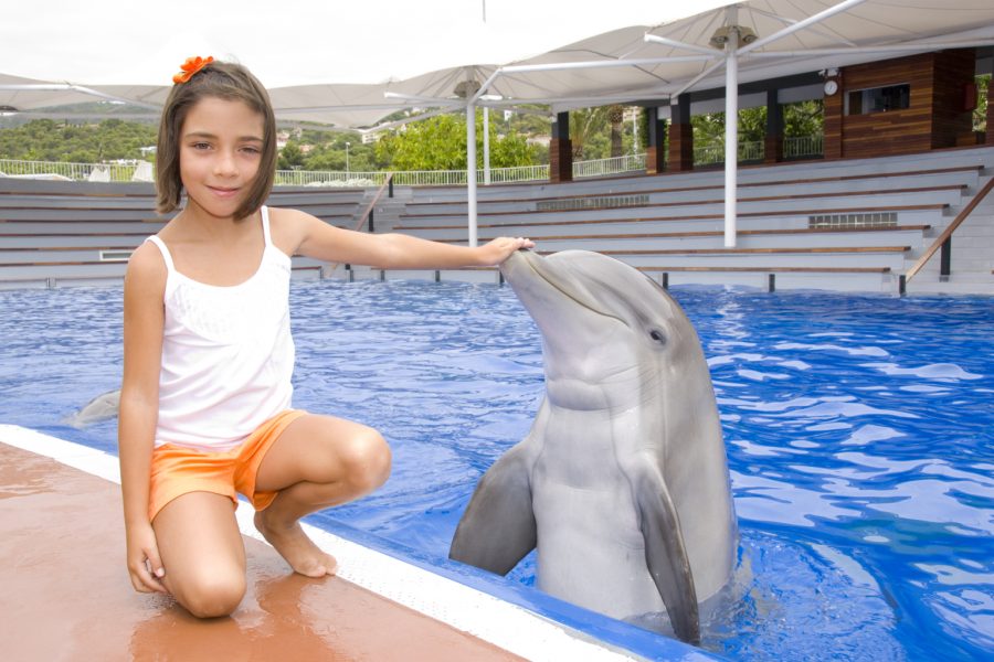 Photo with Dolphin