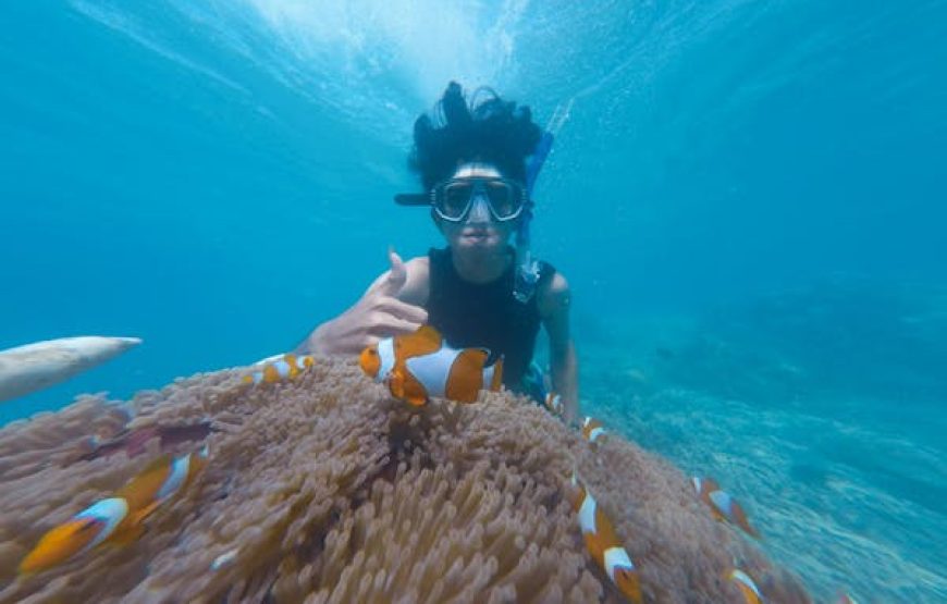 Snorkeling + Magawish Island