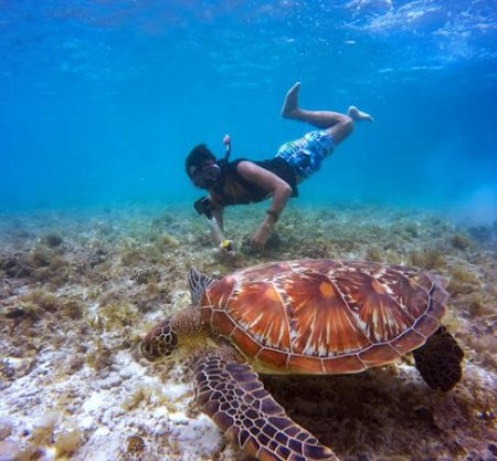 Snorkeling + Magawish Island