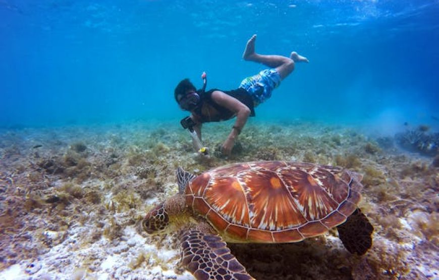 Snorkeling + Magawish Island