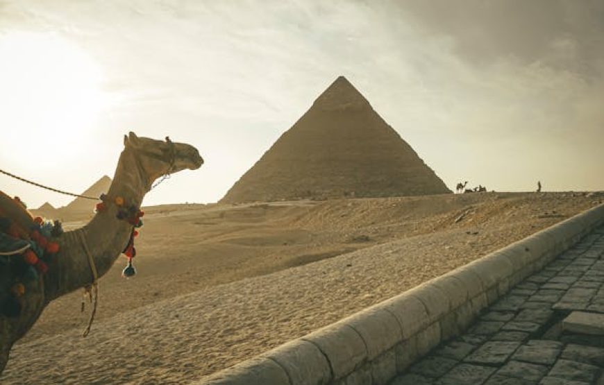 Cairo (Bus Tour to the Pyramids & Museum)