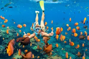 Island Tour from Hurghada Snorkeling